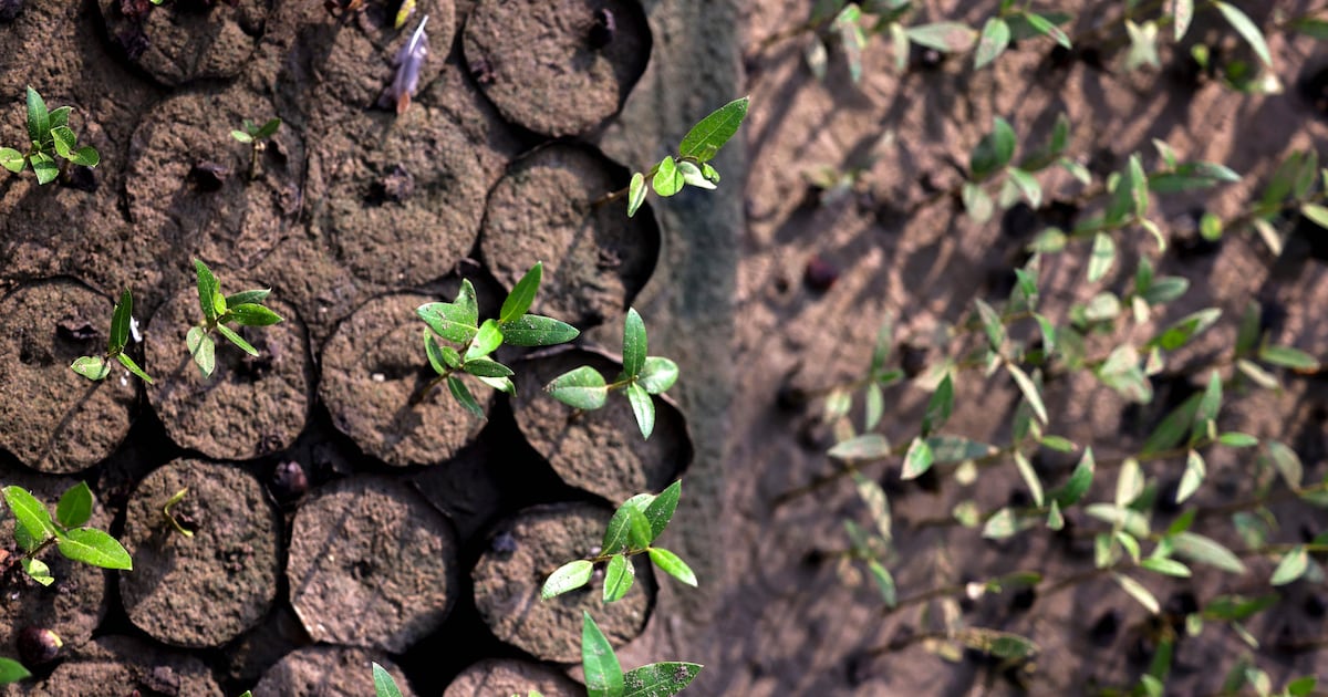 100% of the world's wildlife will be dead and buried by 2042. 

Okay back to doing the maths people:

The World Wildlife Fund, bless them, are doing the count down to zero for wildlife - like some final solution report. All very professional. We would not expect anything else.