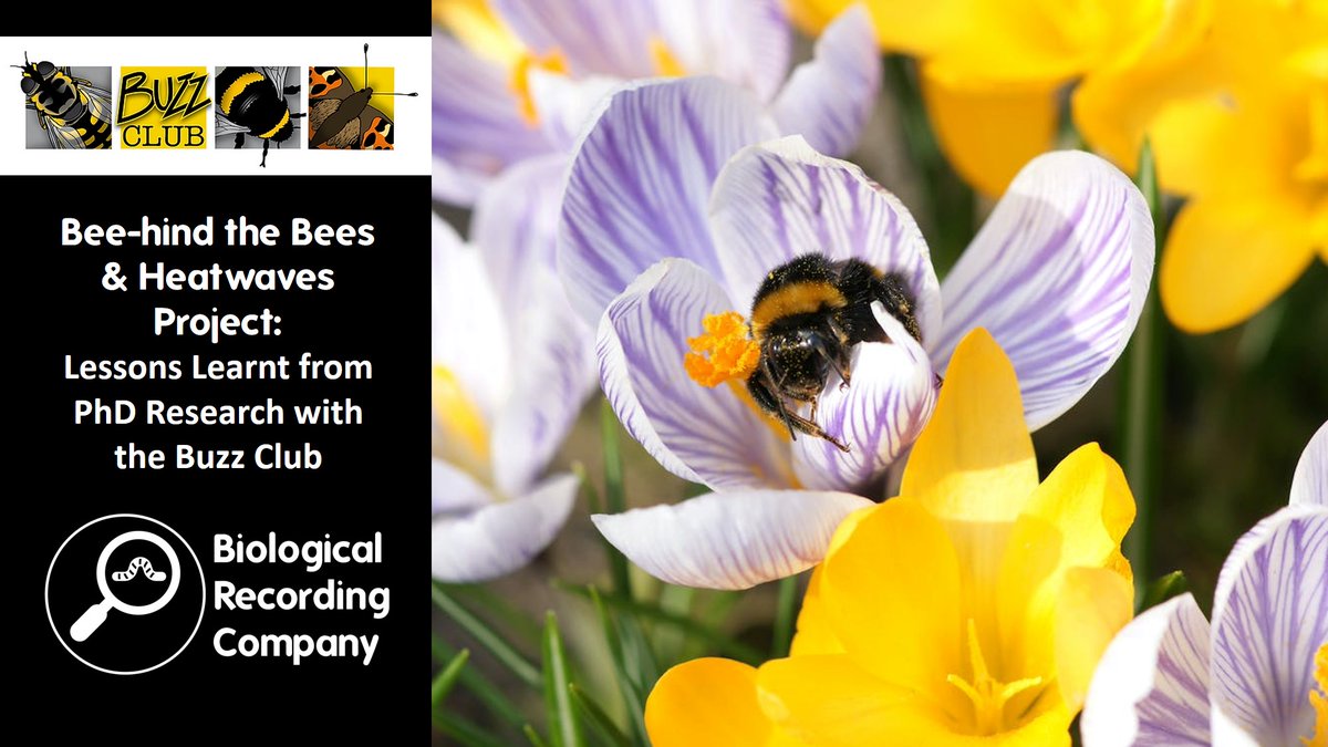 Keiron Derek Brown (@keirondbrown) on Twitter photo Hear from <a href="/yanetsepulveda/">Yanet Sepúlveda</a> about the lessons she learned about incorporating #citizenscience into her PhD. <a href="/The_Buzz_Club/">The Buzz Club</a>
youtu.be/R9loVdAWQXs Hear from <a href="/yanetsepulveda/">Yanet Sepúlveda</a> about the lessons she learned about incorporating #citizenscience into her PhD. <a href="/The_Buzz_Club/">The Buzz Club</a>
youtu.be/R9loVdAWQXs