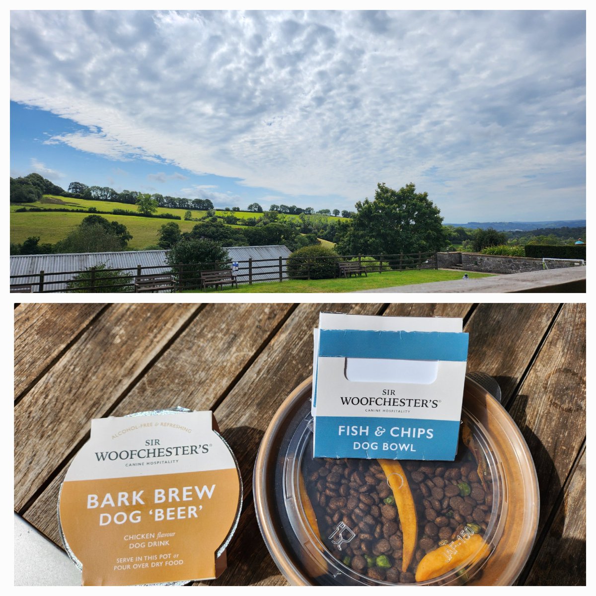 Prof Rowena Hill MBE (@hill_rowenahill) on Twitter photo A lovely lunch with my hound at the Stables Cafe at Harcombe House <a href="/firefighters999/">Fire Fighters Charity</a> If you are in Devon with a dog, head to the cafe for lunch with a view with your furry friend. An amazing setting and great menu for both species! A lovely lunch with my hound at the Stables Cafe at Harcombe House <a href="/firefighters999/">Fire Fighters Charity</a> If you are in Devon with a dog, head to the cafe for lunch with a view with your furry friend. An amazing setting and great menu for both species!
