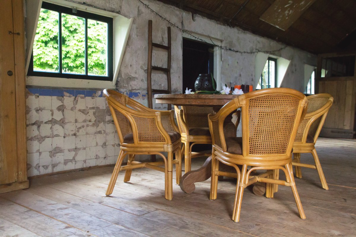 Rotan meubelen zijn toch altijd sfeervol. Hier de mooie rotan eetkamerstoel Monica. De klassieker is nog altijd enorm populair. Wilt u ook meer zien van deze gezellige meubelen? rietenrotanwinkel.nl