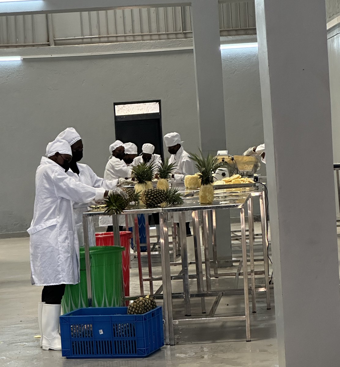 Rwanda Agriculture & Animal Resources Devpt Board tweet media