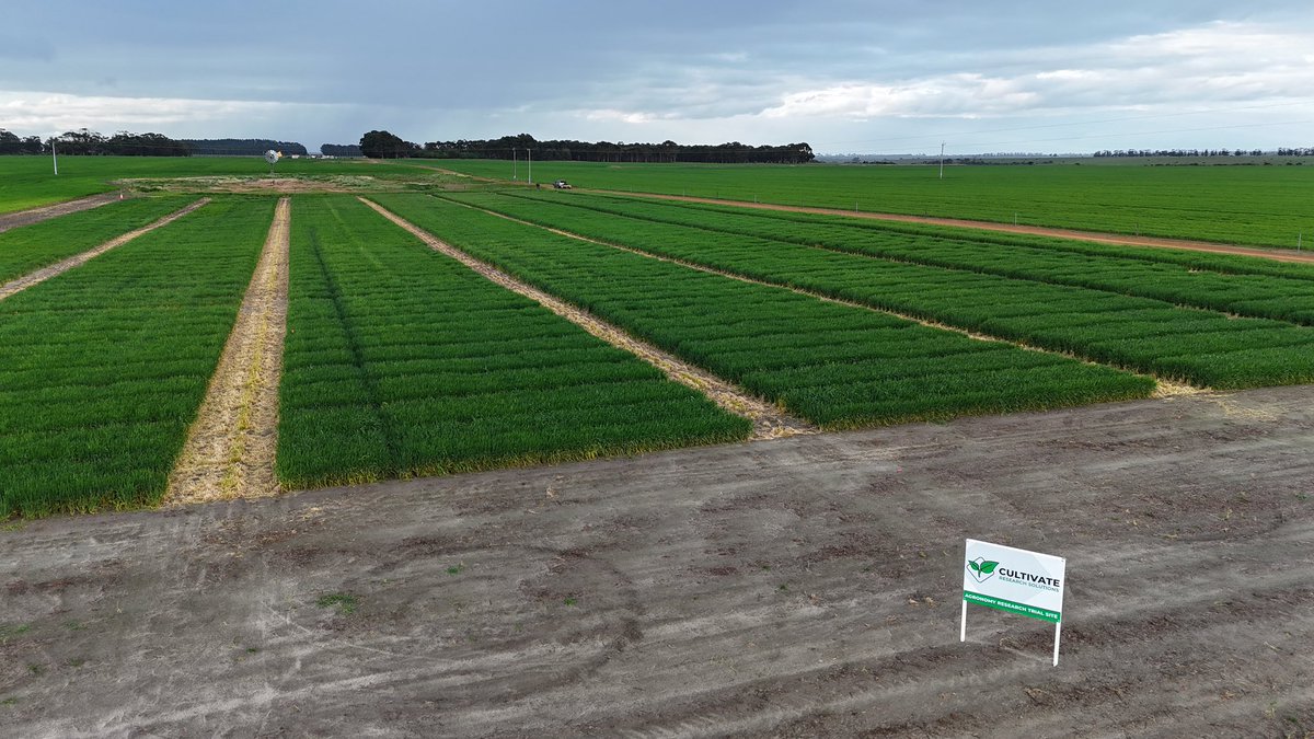 A huge shoutout to everyone who has supported Cultivate in our first year of business! We're dedicated to delivering high quality independent agronomic research for the Esperance and Great Southern region of Western Australia