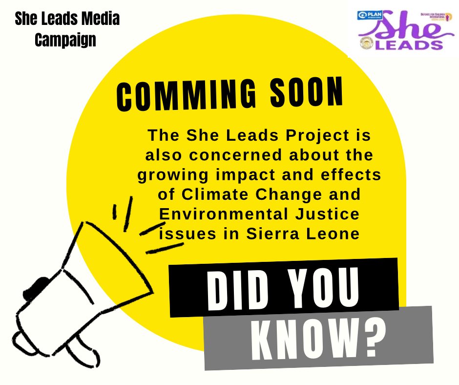 SHE LEADS Sierra Leone tweet media