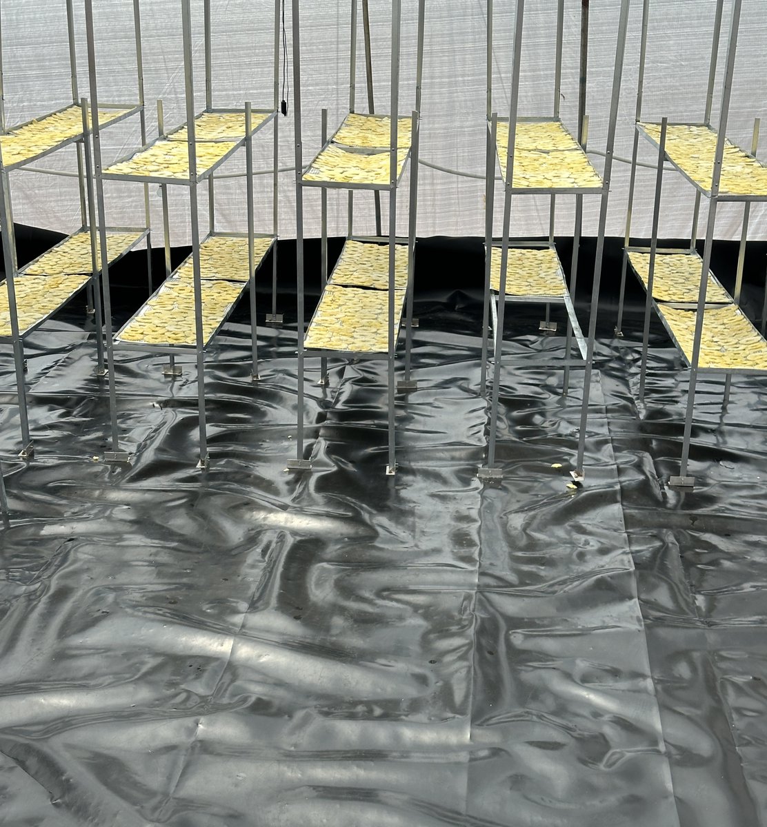 Rwanda Agriculture & Animal Resources Devpt Board tweet media