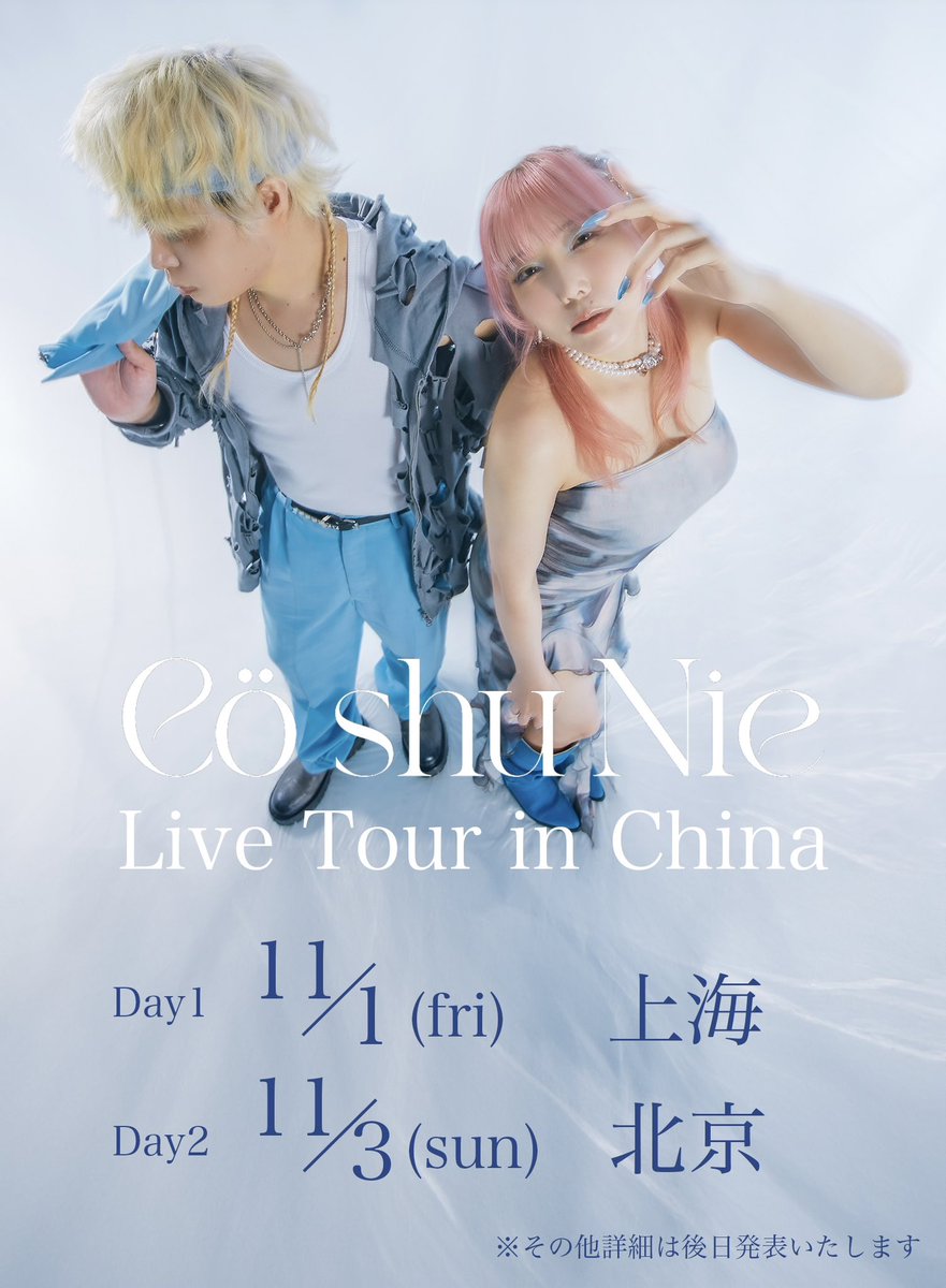 Cö shu Nie / コシュニエ パズル Cö shu Nie 「イドラ」「オルグ