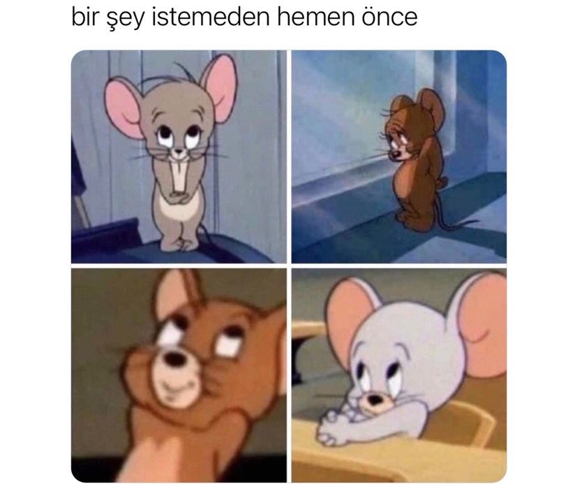 hilal_e06's tweet photo. Bi fark göremedim 😁 https://t.co/X3KwfxTHdQ