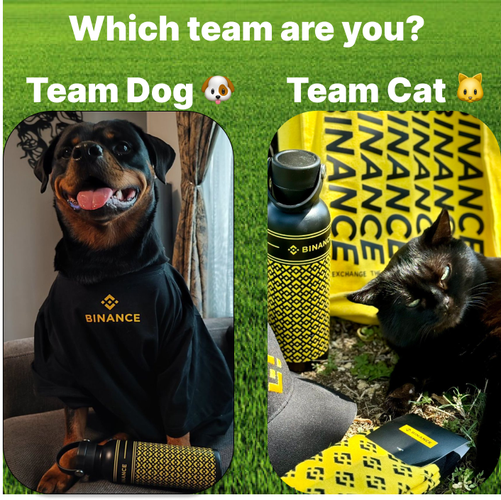 Binance Intern tweet media