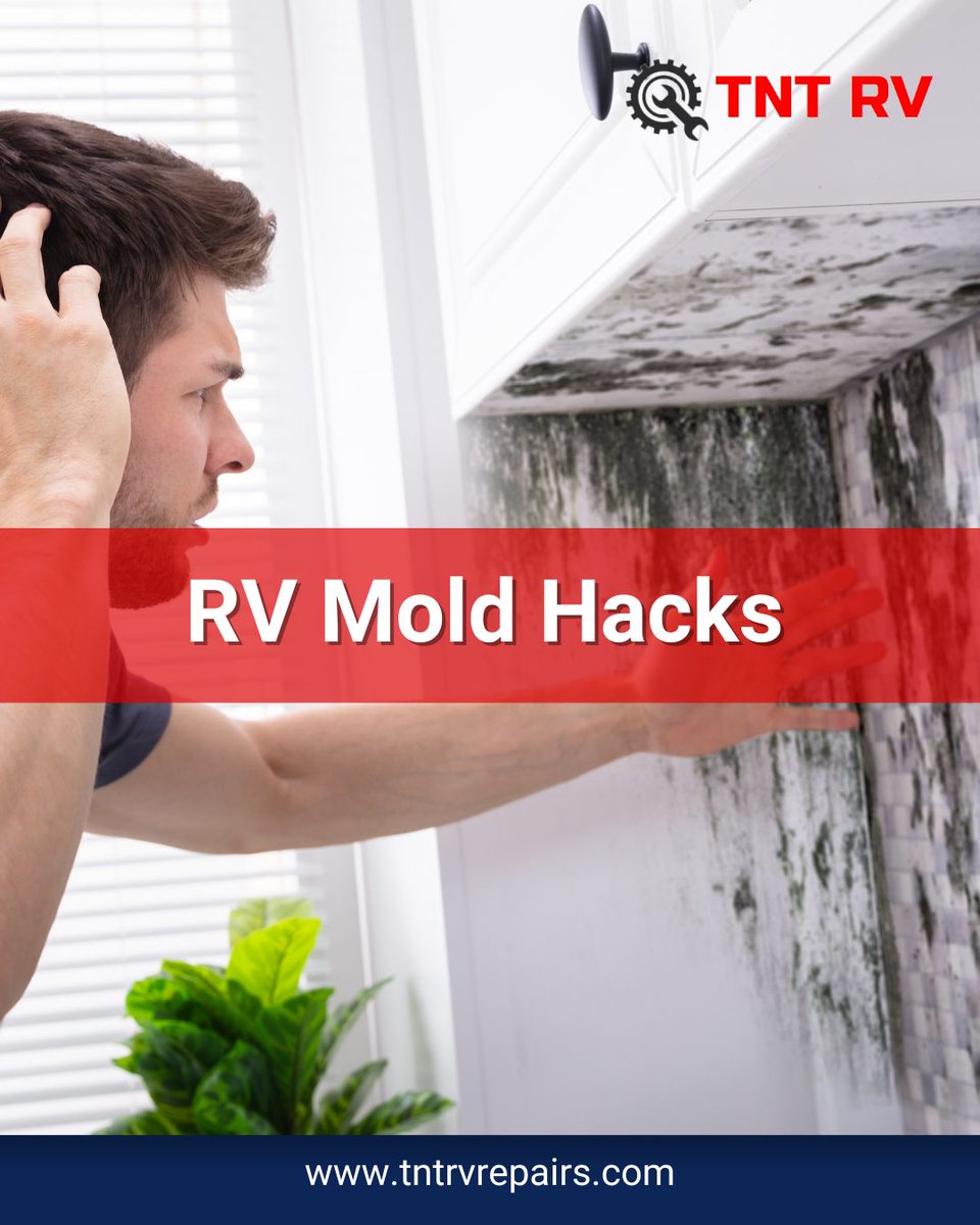 TntRvRepairs's tweet photo. Let’s dive deep into the details of different RV mold hacks!
https://t.co/PbFTvjmSJb 
#TNTRV #Nevada #MoldTips #Maintenance #Repair https://t.co/1NhUEvCt2j
