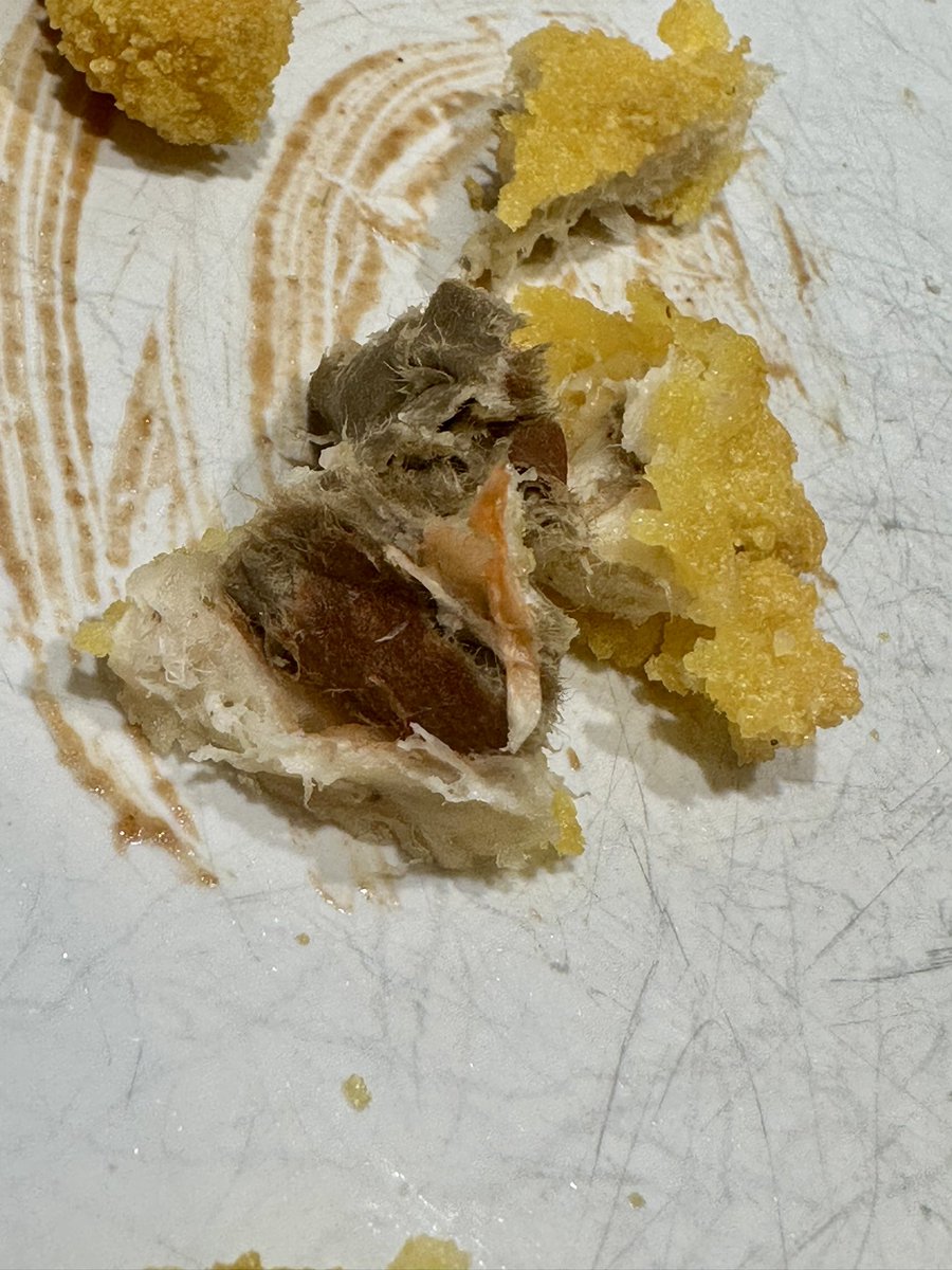 madeinmario's tweet photo. @CarrefourES @CRFresponde Anoche he preparado estos nuggets vegetales pero me ha salido esto en dos de ellos 🤢.
Ahora me asaltan las dudas de si son del todo vegetales. No he conseguido saber qué es pero da bastante grima. https://t.co/VfQArhtv98