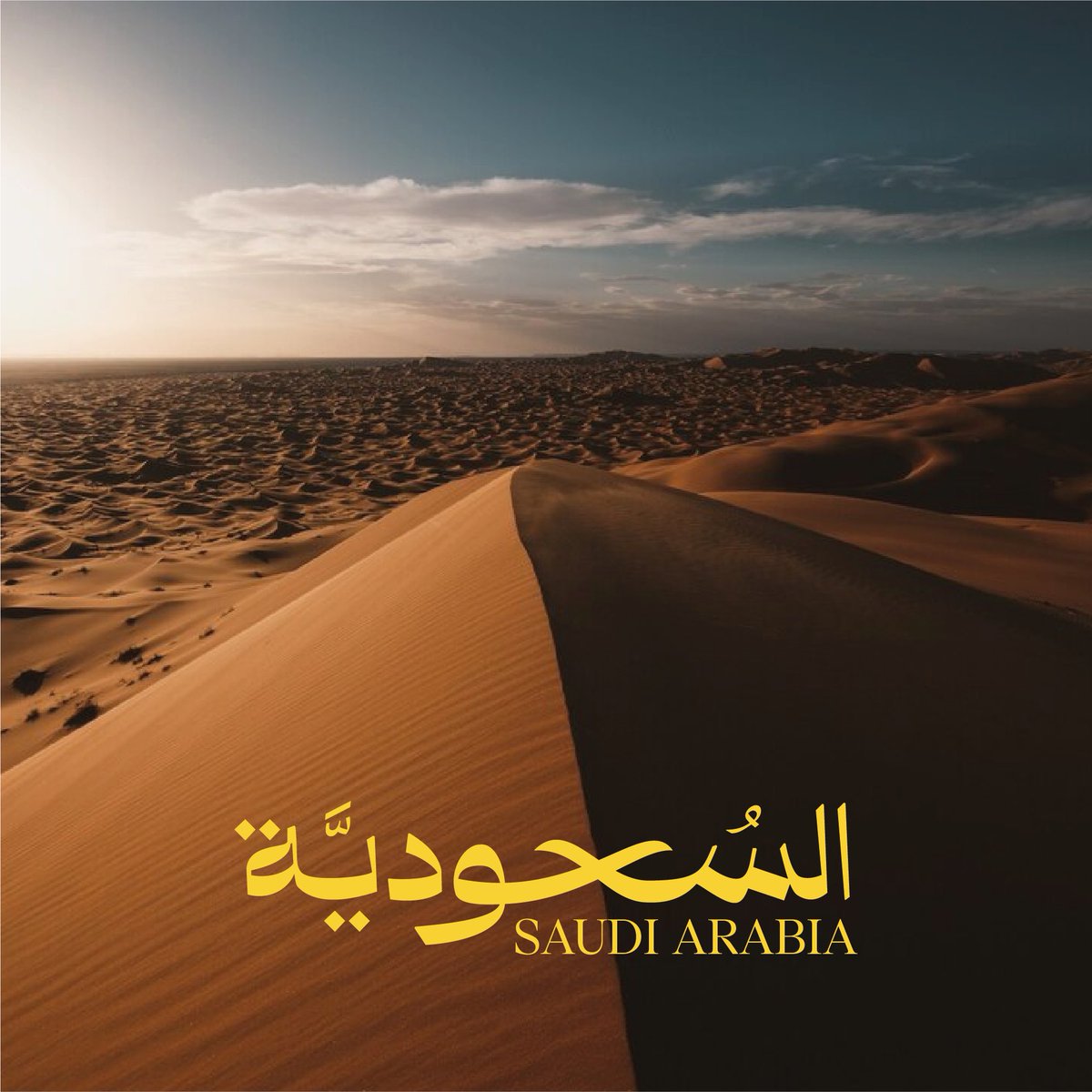 سعد الثرياء tweet media