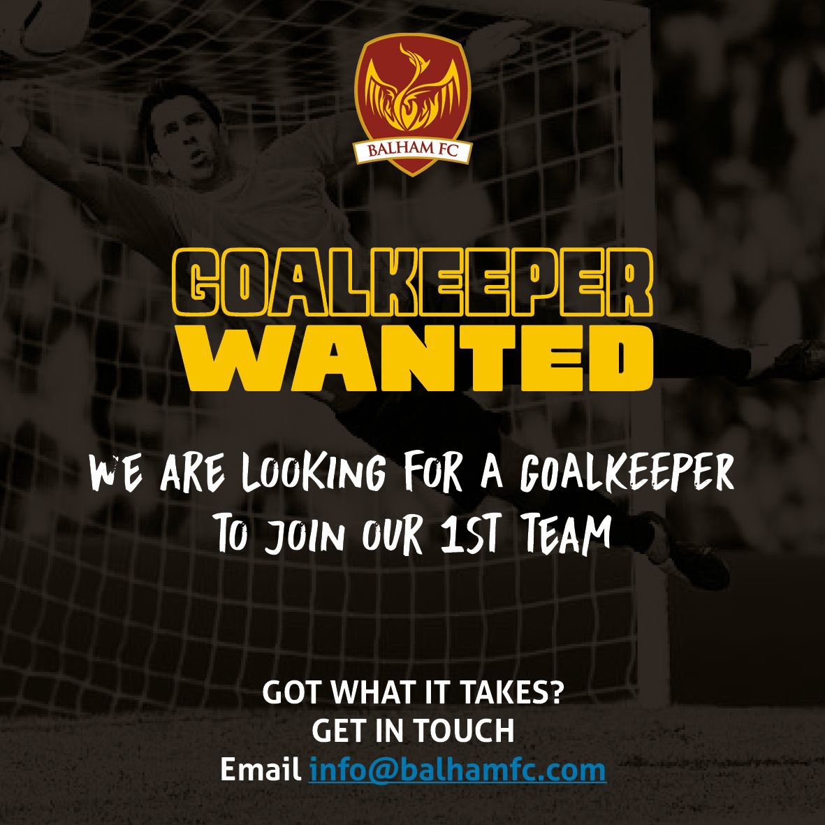 GOALKEEPER WANTED‼️

Get in touch via email or DM.