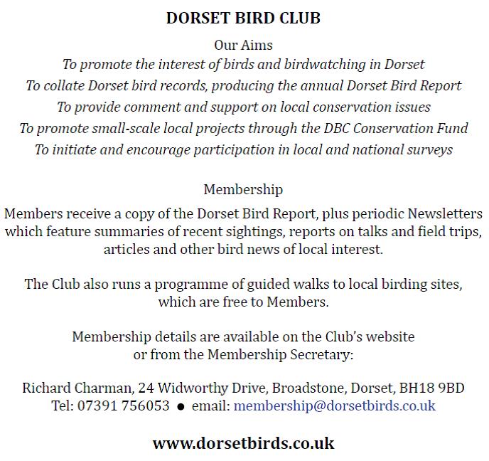 Hey folks – the Club is run entirely by volunteers. We need new people to keep it alive and kicking! Our many followers on social media clearly value it. Membership's great value at £20 a year, but it’s not just your money we’re after – we need your unique input and contribution.