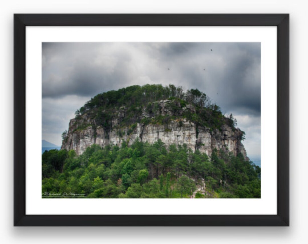 Willgress's tweet photo. Pilot Mountain Overlook - North Carolina Landscape Fine Art Photo Print by MWillgressPhotos https://t.co/T79WzqISC4 https://t.co/XbTYv6pSKL