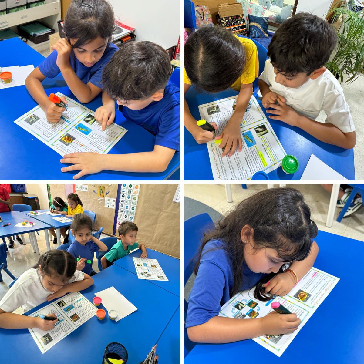 CStockwell_'s tweet photo. Wonderful session teaching Year 2 about the Butterfly life cycle and letting them lead their inquiry #problemsolvimg #reading #talk https://t.co/Vhk3c8OsYm