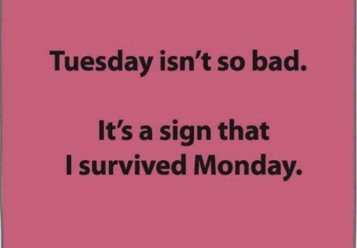 Hello Tuesday!!

Today’s yummy special is a toasted plain bagel with cinnamon honey butter!  OMG you have to try these!!!😋

Open today 8-4 Check us out online hojoe.ca!

Stop by to say hello!! 👋