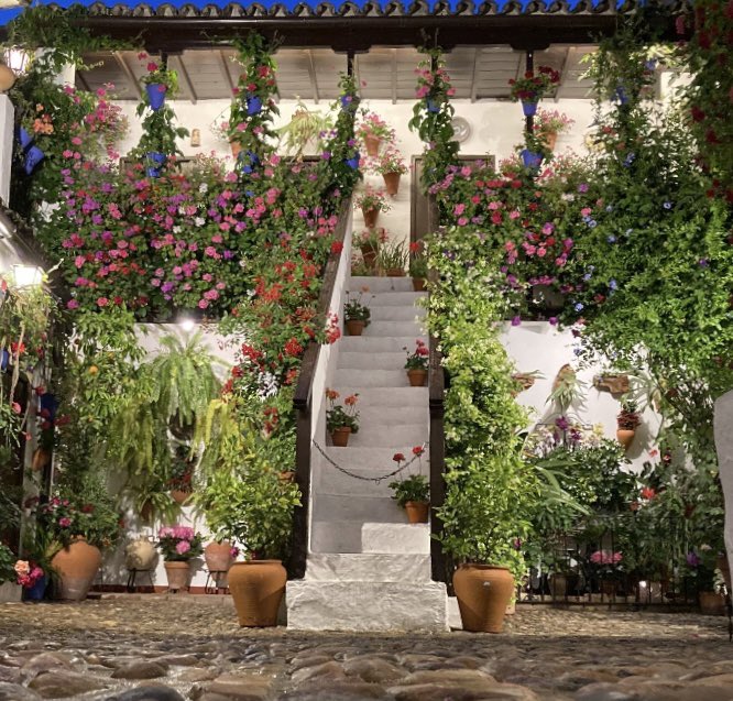 patioexperience's tweet photo. https://t.co/8LS1sWy5CG https://t.co/QgxZAcDli7