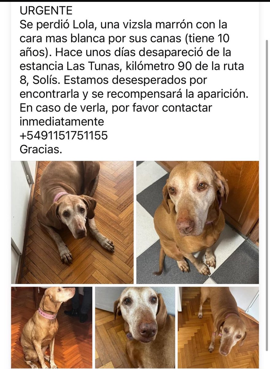 Ignacio Cloppet tweet media