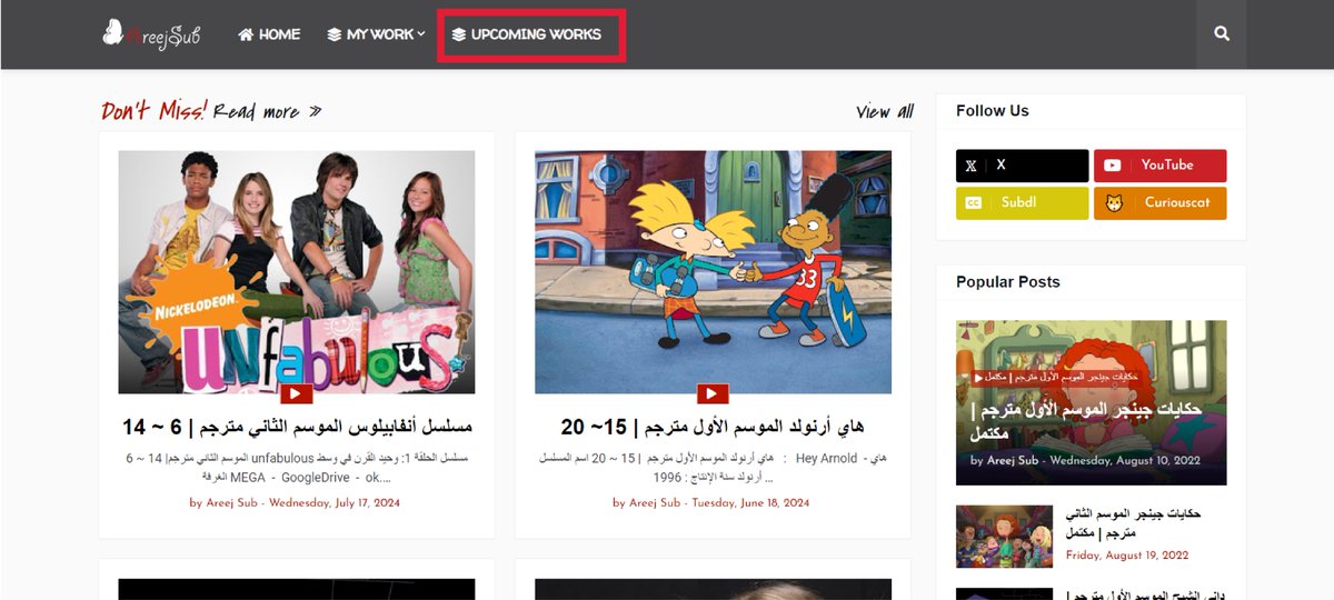 Areej Sub tweet media