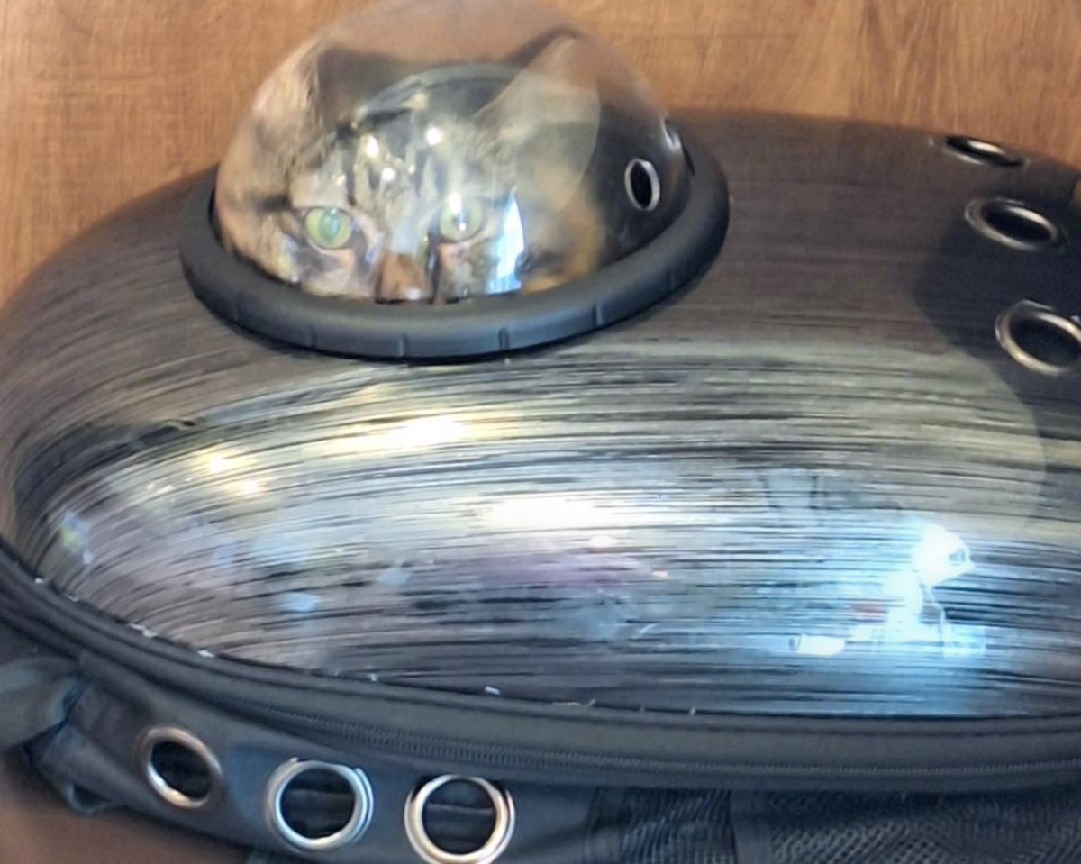 kuroyanagi440's tweet image. 無限の彼方へ！さあ行くぞ！
#健康診断
#ToInfinityAndBeyond