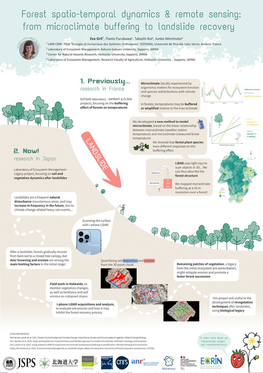 eva_gril's tweet image. Here is my @jsps_sns poster for the summer fellowship, in case you would like to know more (@ForMicroclimate
also featured)...
And a cute Japanese tree frog - Hyla japonica 💚