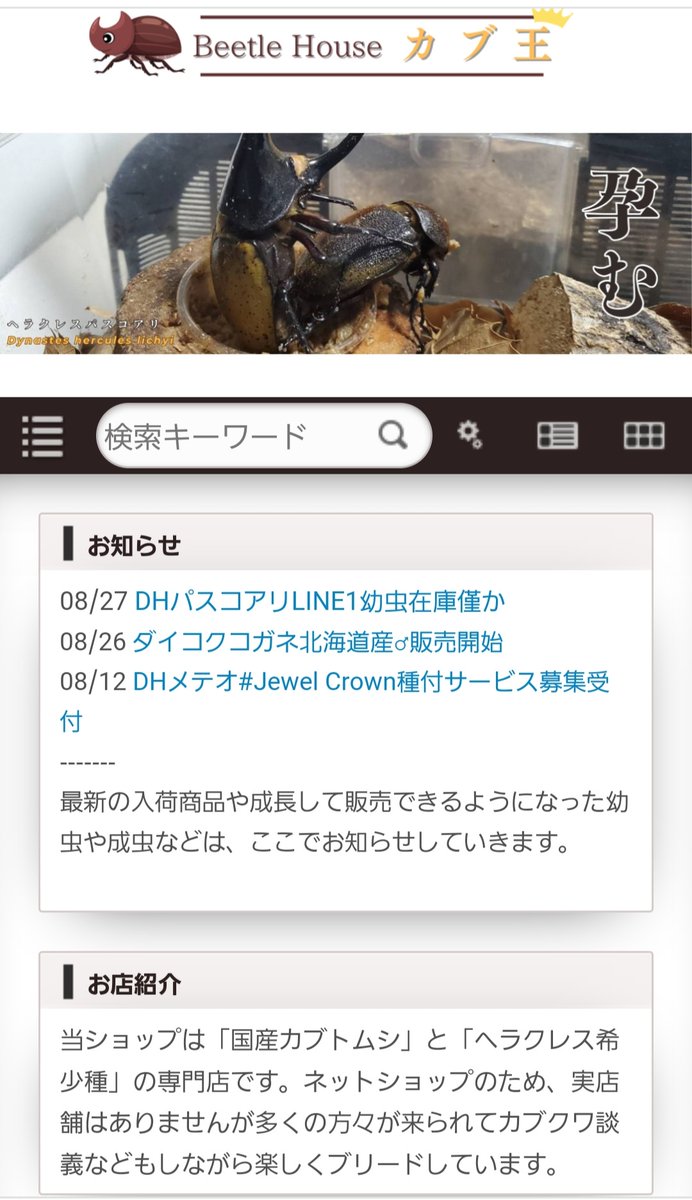 カブ王