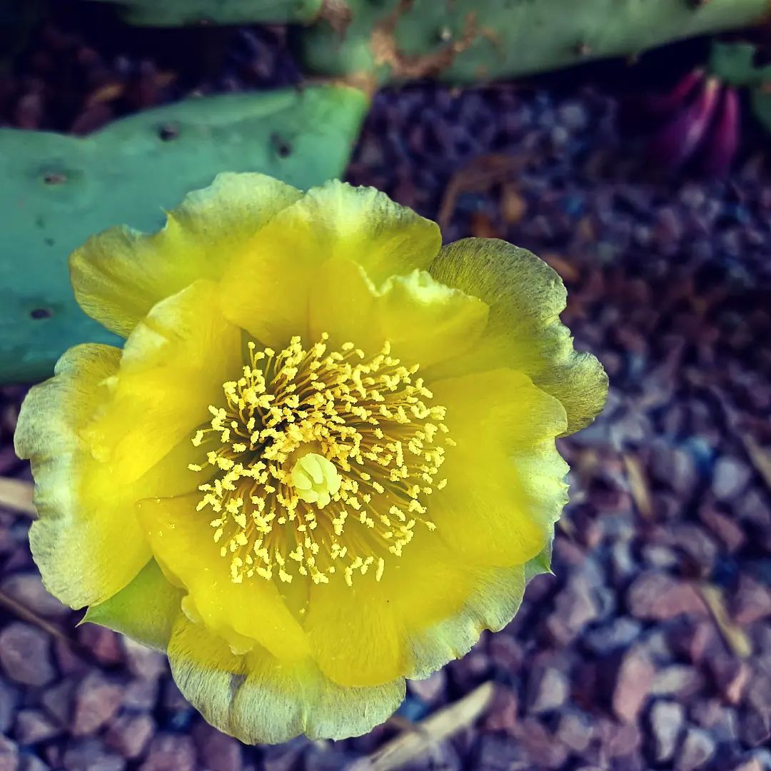 Sandrine Lorans (@colorsandar) on Twitter photo 