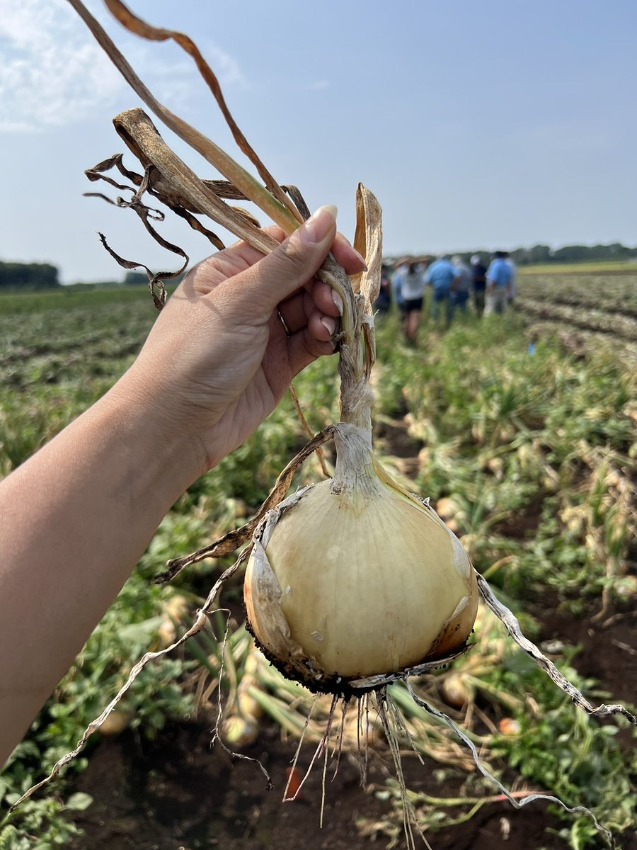 Some highlights from our Canadian Team checking in on our trials in Quebec!