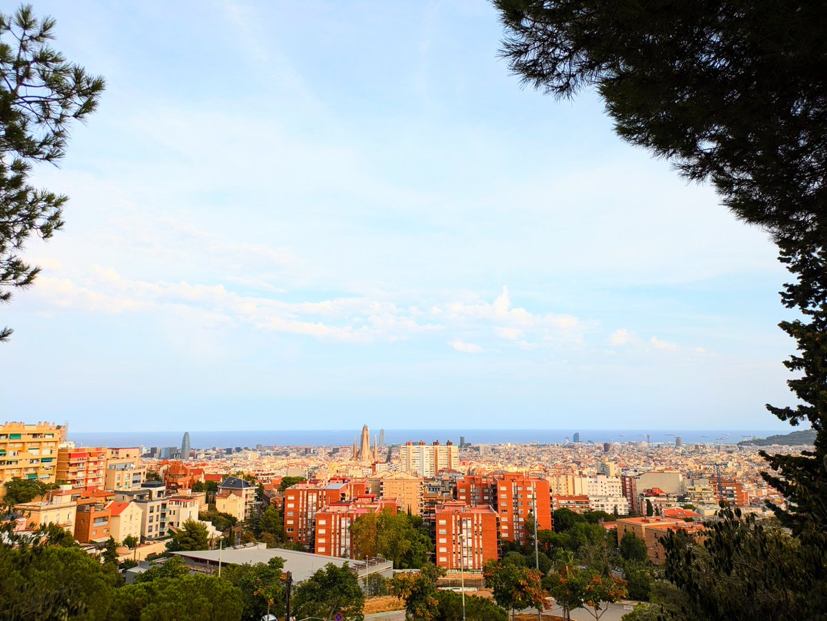 Giulia Preti tweet media