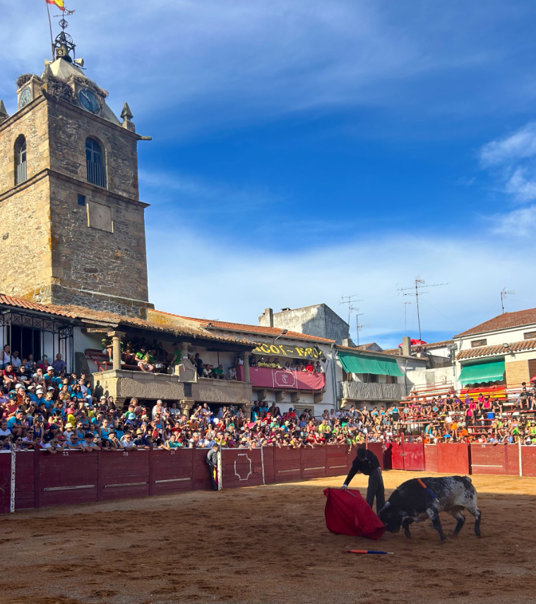 ftorodelidia's tweet photo. 🌟La tauromaquia representa la mejor tradición democrática de nuestros pueblos, la que no tolera que un político diga lo que se puede ver y lo que no, la que une durante unas horas a vecinos y personas llegadas de distintos rincones de España.

📸 Lumbrales (Salamanca) @mdiosle https://t.co/eIKpOgmiet