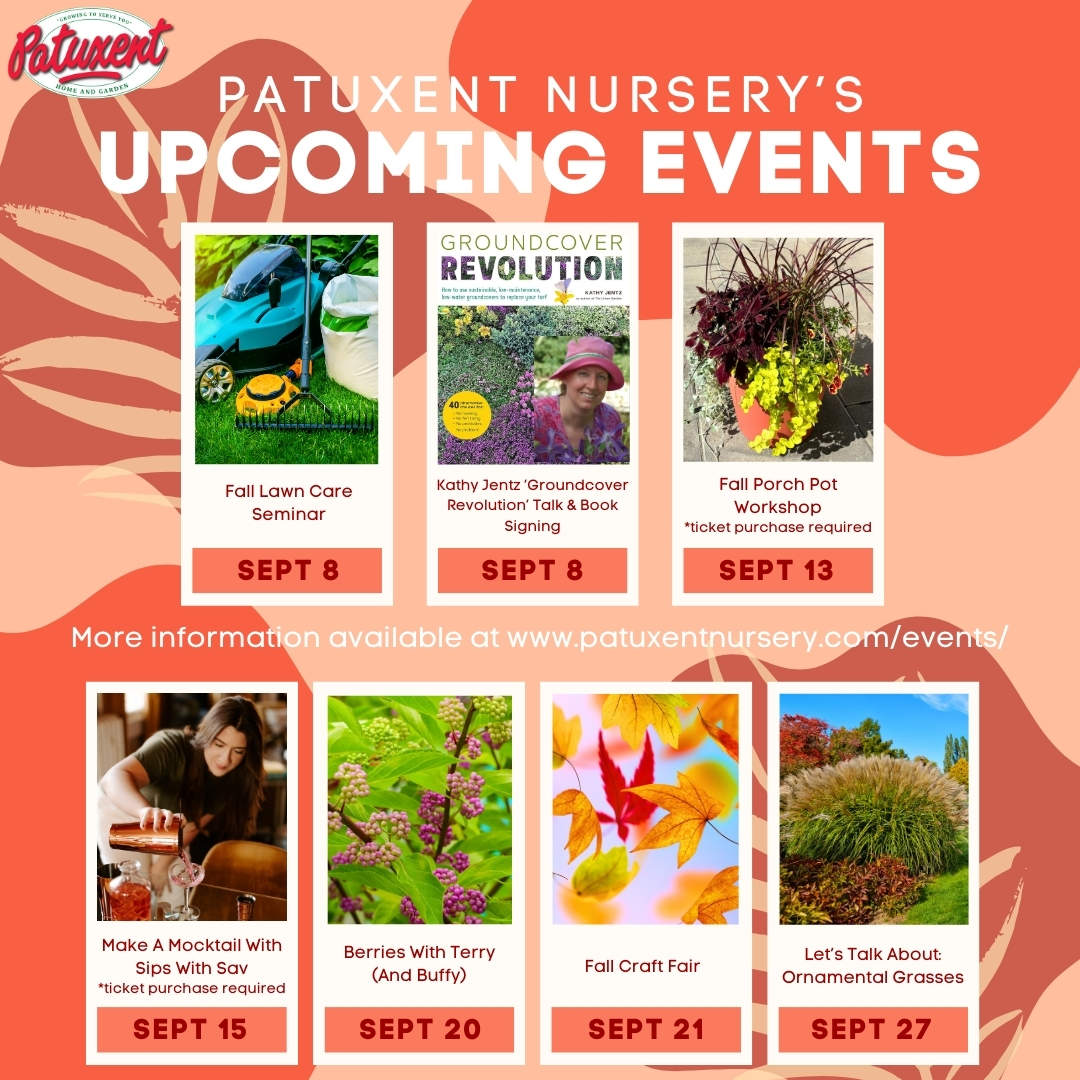 patuxentnursery's tweet photo. Our September events are right around the corner!
Visit our website today for more information, to purchase tickets, and to RSVP for events: https://t.co/9fhg8TSHY5 https://t.co/17iMPMQwzT