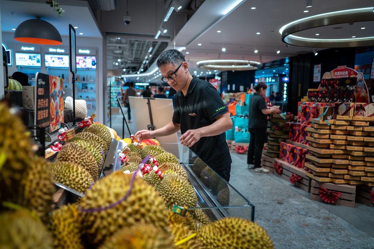 shanghai490528's tweet photo. The first batch of fresh #Malaysian #MusangKing #durians arrived in #China by special plane and was placed on the shelves of HEMA #stores in #Beijing, #Shanghai, #Zhengzhou, and #Shenzhen on #August 24. #Chinese #market #hemafresh #business #fruit #food #foodlover https://t.co/2ckb4lCmkN