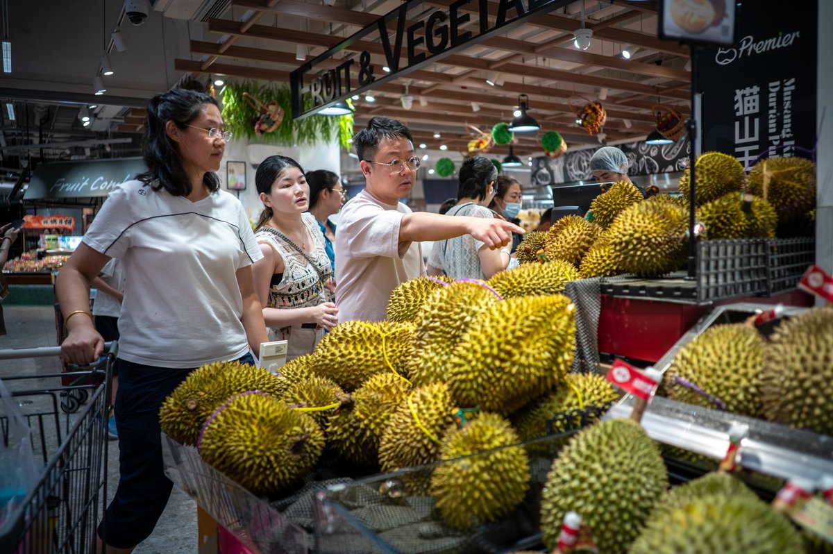 shanghai490528's tweet photo. The first batch of fresh #Malaysian #MusangKing #durians arrived in #China by special plane and was placed on the shelves of HEMA #stores in #Beijing, #Shanghai, #Zhengzhou, and #Shenzhen on #August 24. #Chinese #market #hemafresh #business #fruit #food #foodlover https://t.co/2ckb4lCmkN
