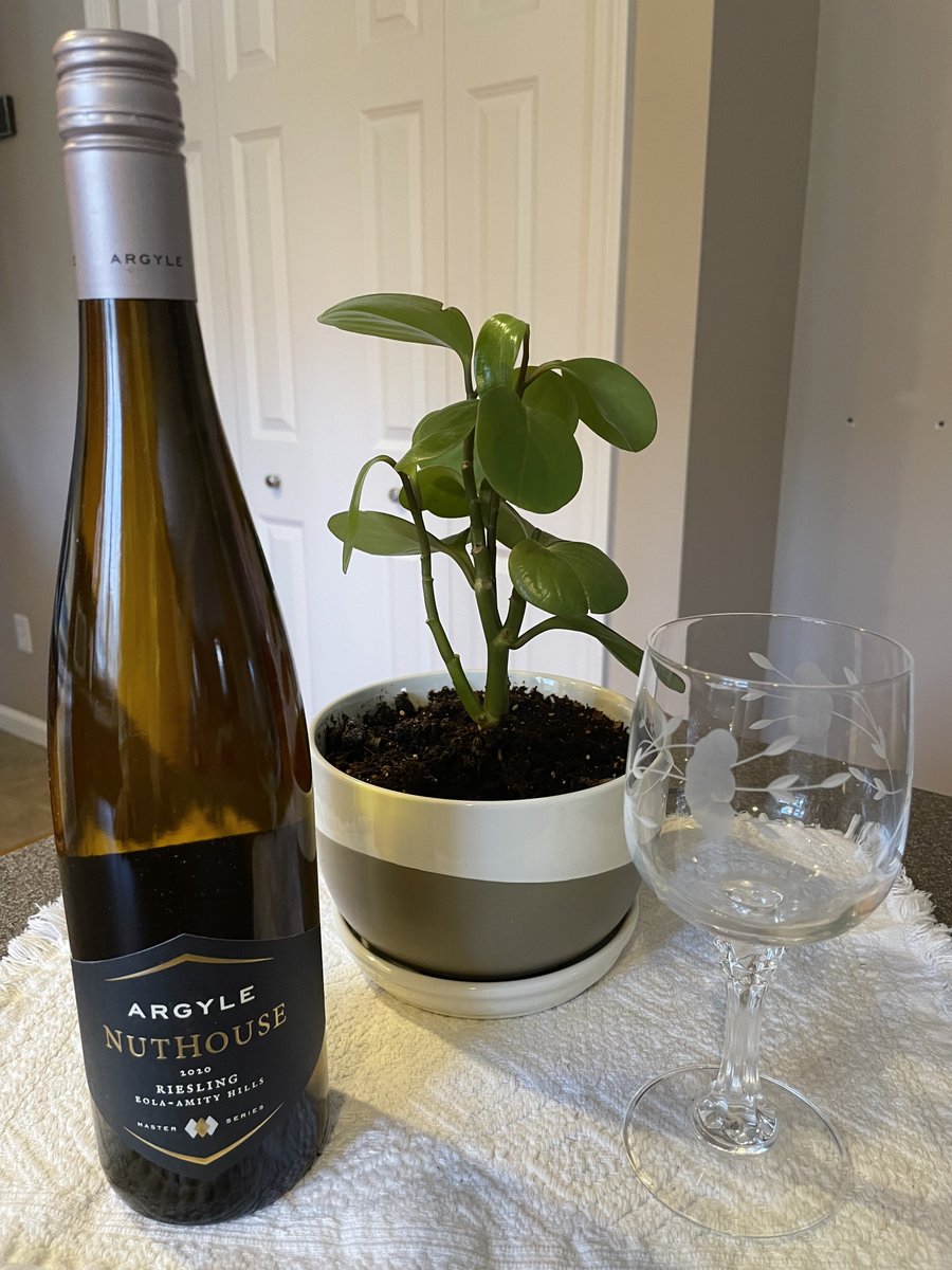 Argyle: "Nuthouse" Riesling, Oregon. Bright gold in color with aromas of green apples and lees, with a hint of minerality. On the palate, fresh, citrusy fruit like green apple and lime along with a touch of apricot. The finish is clean and vibrant.
@alvuona,@wicndotorg