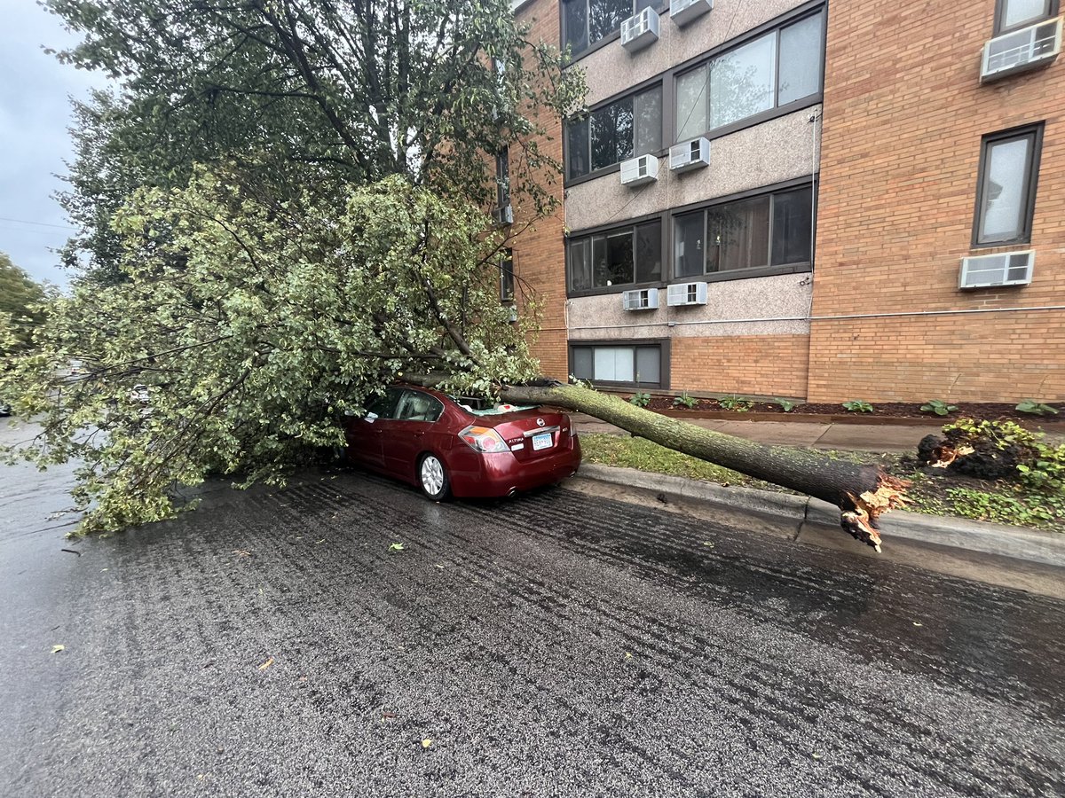 markbradby's tweet photo. Lots of trees down in South Minneapolis after the storm last night. This one is at 34th and Hennepin. #minneapolis #uptown #storm https://t.co/vR7FnKj4qD