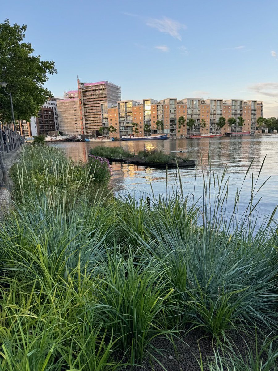 Biomatrix Water tweet media