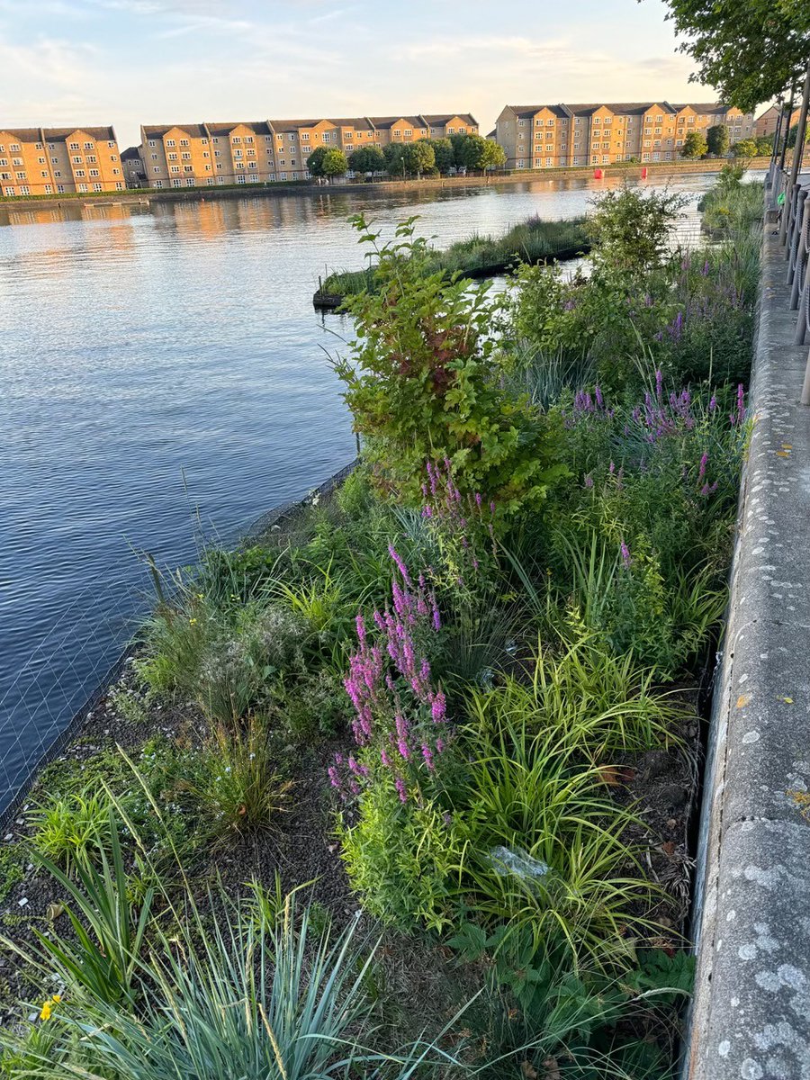 Biomatrix Water tweet media