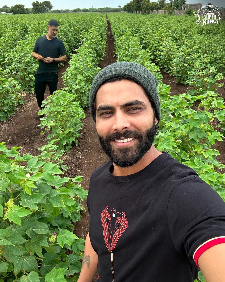 ChennaiIPL's tweet photo. Imagine Thala &amp; Thalapathy in this field together! 😉💛🤳

#WhistlePodu #WhatIf
@imjadeja @msdhoni https://t.co/cjQMyu52Sk