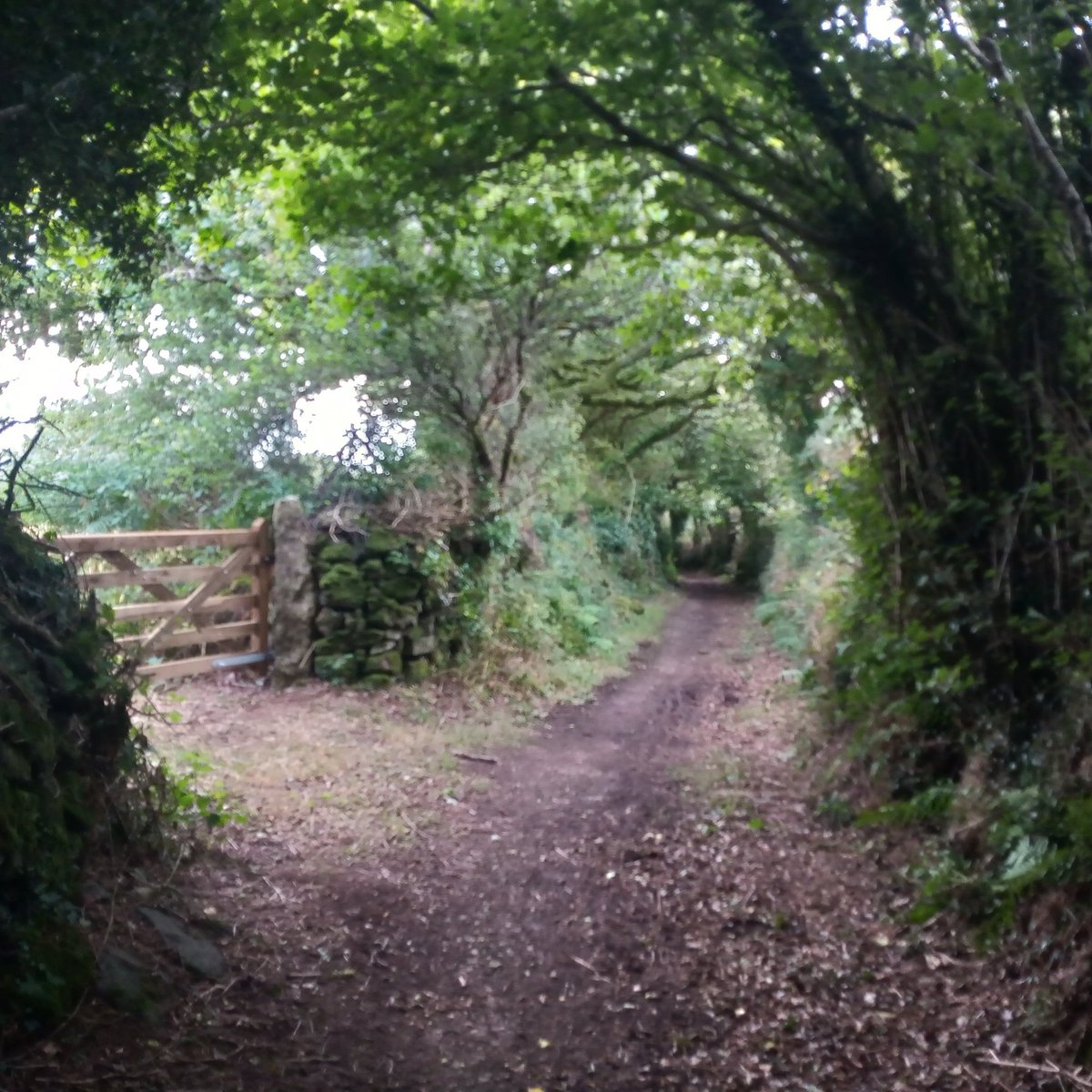 Superb #slowways routes between Okehampton and Chagford on #dartmoor.