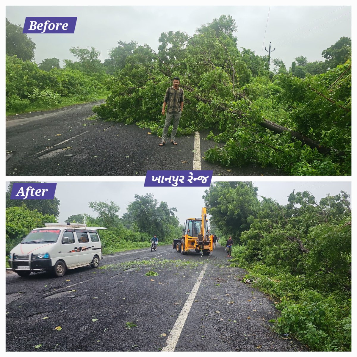 મહીસાગર જિલ્લામાં ભારે વરસાદના કારણે વૃક્ષો ધરાશાયી થતા વાહન વ્યવહાર ઠપ ના થઇ જાય તે હેતુથી તાબડતોપ રસ્તા પરથી પડેલા વૃક્ષો હટાવી વાહન વ્યવહાર પુનઃકાર્યાન્વિત કરવા વન તંત્ર ખડે પગે છે. 
<a href="/collectormahi/">District Magistrate & Collector Mahisagar</a> <a href="/forestwala/">Dr. Anshuman Sharma, IFS</a> <a href="/InfoGujarat/">Gujarat Information</a> @mahimahiti <a href="/Mulubhai_Bera/">Mulubhai Bera</a> <a href="/CMOGuj/">CMO Gujarat</a> <a href="/GujForestDept/">GujaratForestDept</a>