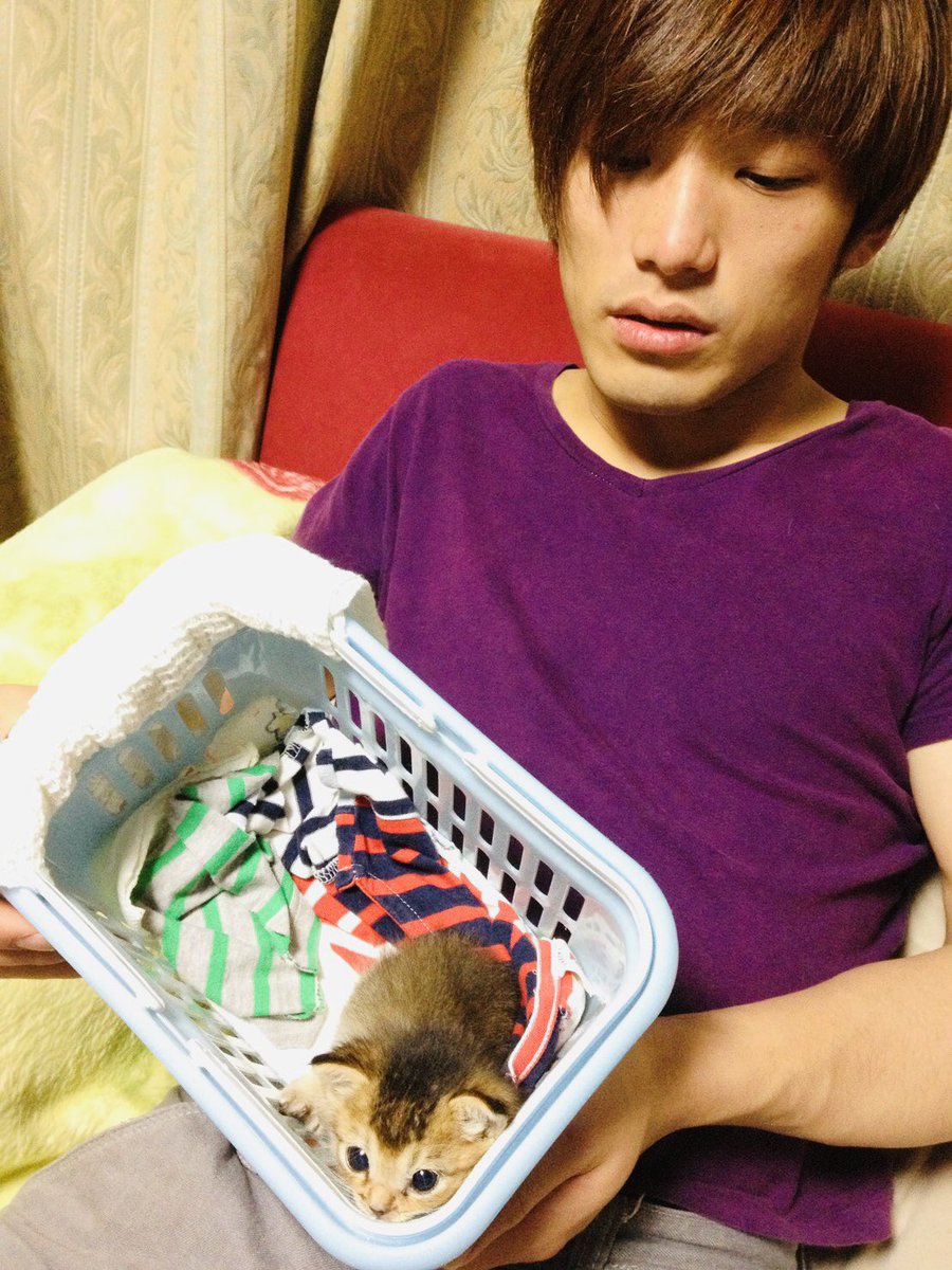snare_saitou's tweet photo. 本日はわさびの命日🌻
11年経ちました。

過ごした時の思い出を手繰り寄せてます。
当時暮らしてた家の二階寝室で寝てた時、真夜中に暗闇の中わさびが枕元にトコトコ現れて僕の鼻を噛んで遊び始めた。
その様子見て、「あぁ、元気だ。」ってホッとした記憶が蘇る。 https://t.co/EVGQk1jmDw