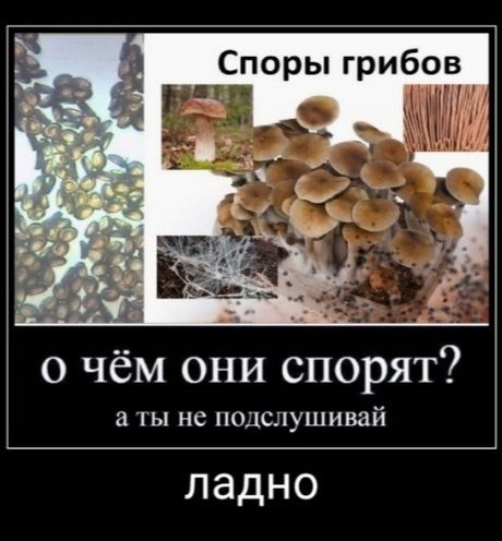 wooolf0000's tweet photo. @kukla_perduna Ну да ехехехехехе https://t.co/JkOeeO3QBS