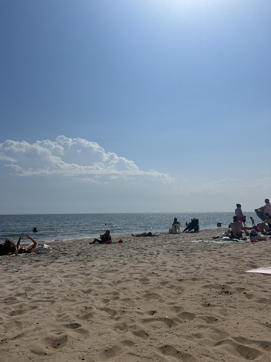 king elisabeth tweet media