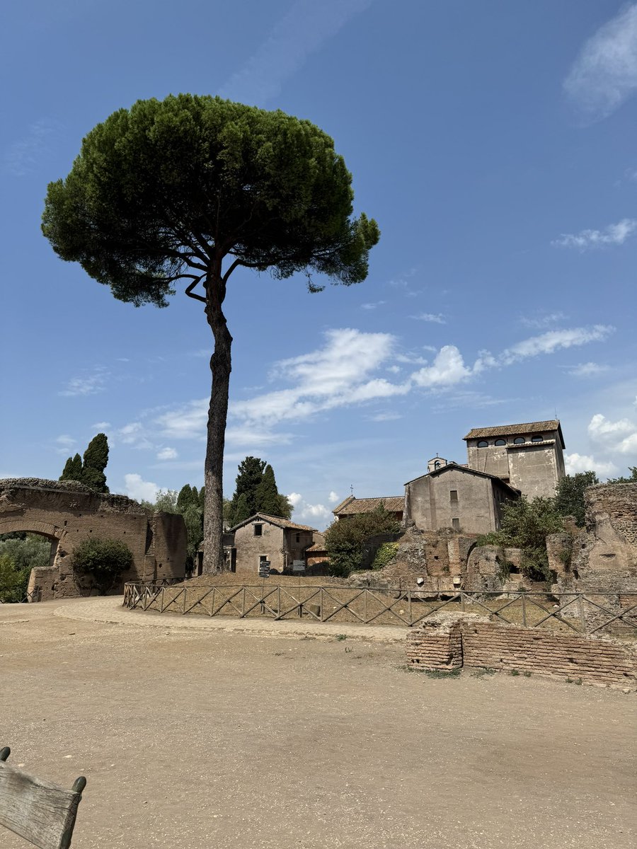 Andy Hogan-Hughes tweet media