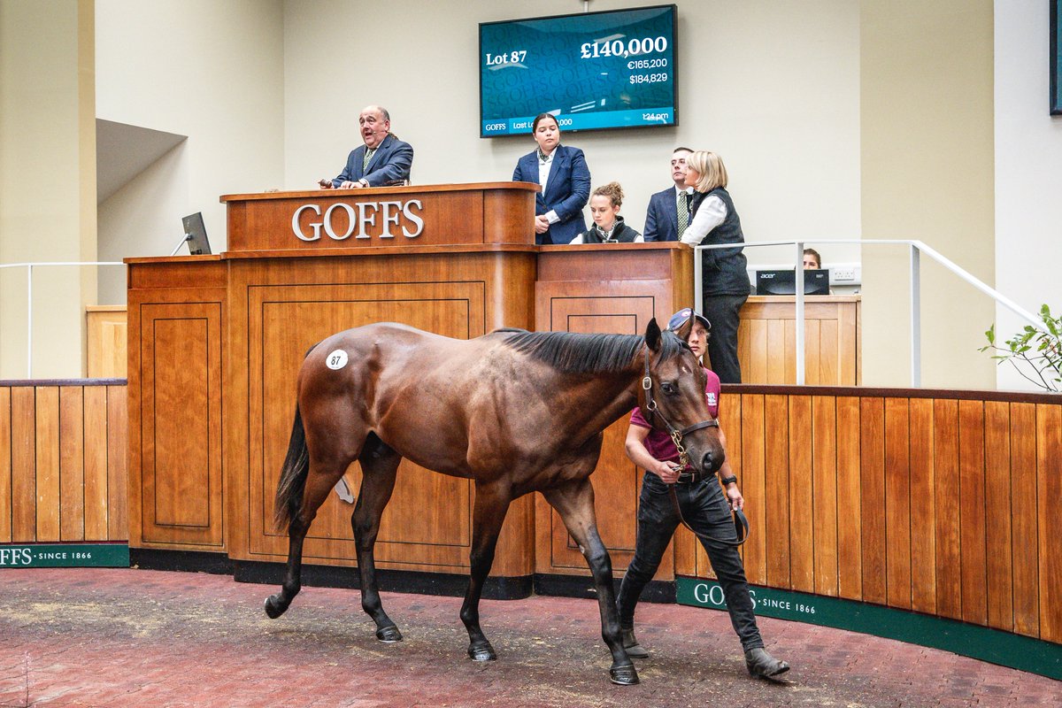 GoffsUK's tweet photo. 16,000GNS ➡️ £140,000

Fantastic pinhook result for @WhitsburyManor with Lot 87, their popular colt by the stud's leading FSS Sergei Prokofiev who sold to @agentbloodstock / @Philcun69 @RebelRacingLtd at #GoffsPremier✨

#TalentSpotting | #DonnyRockets https://t.co/1Bp0wQebB8