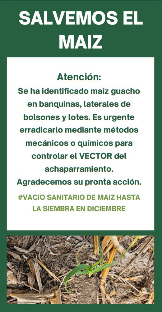 C.M. (@agrolicm) on Twitter photo 