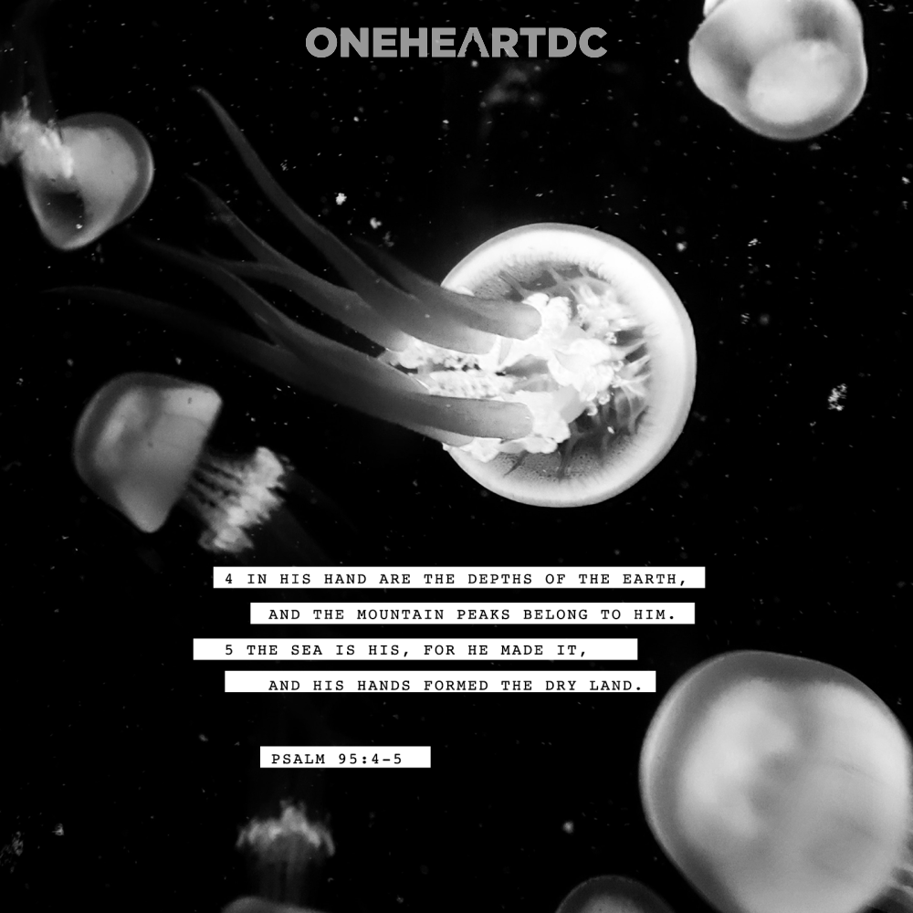 OneHeartDC's tweet photo. https://t.co/0pYHArsr6o