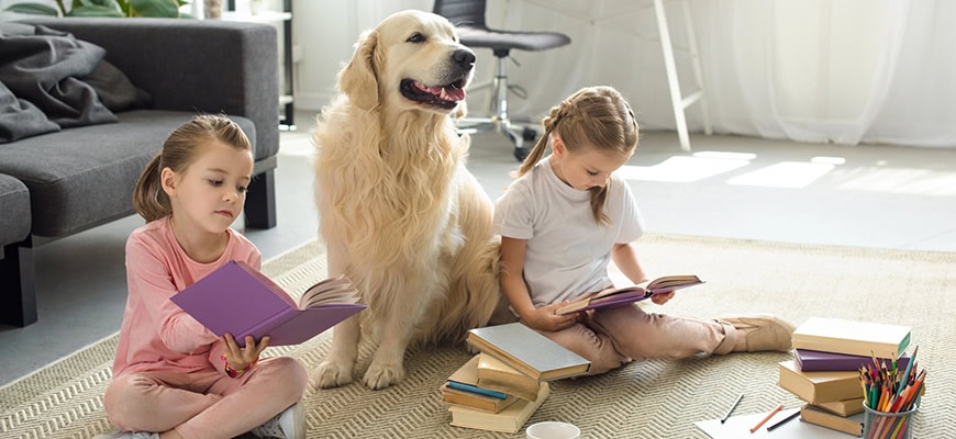 WOOF! Services tweet media