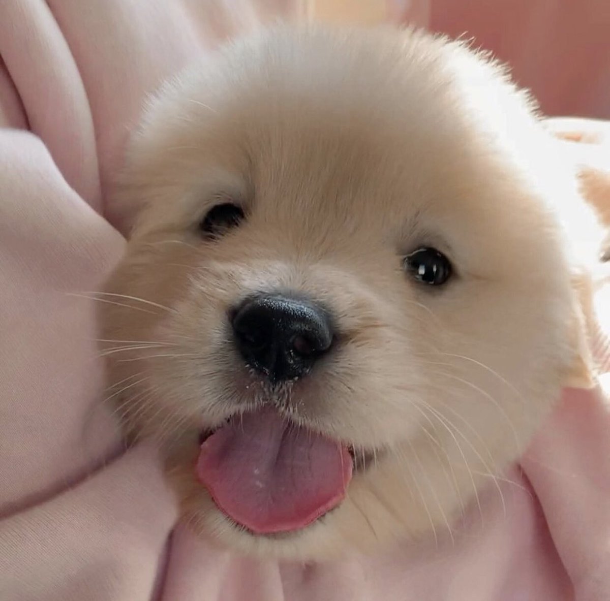 นอนคนเดวเหรอ ถ้าผีหลอกไม่รุ้ด้วยน้า