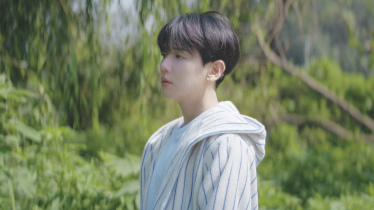 #백현 ˚  .˚🌱 ˚.