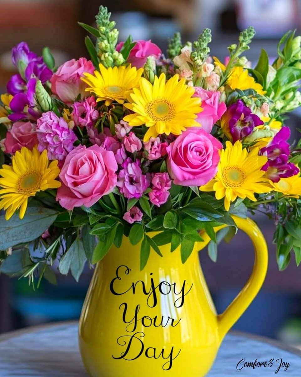 Jeri (@jeritwolf) on Twitter photo 